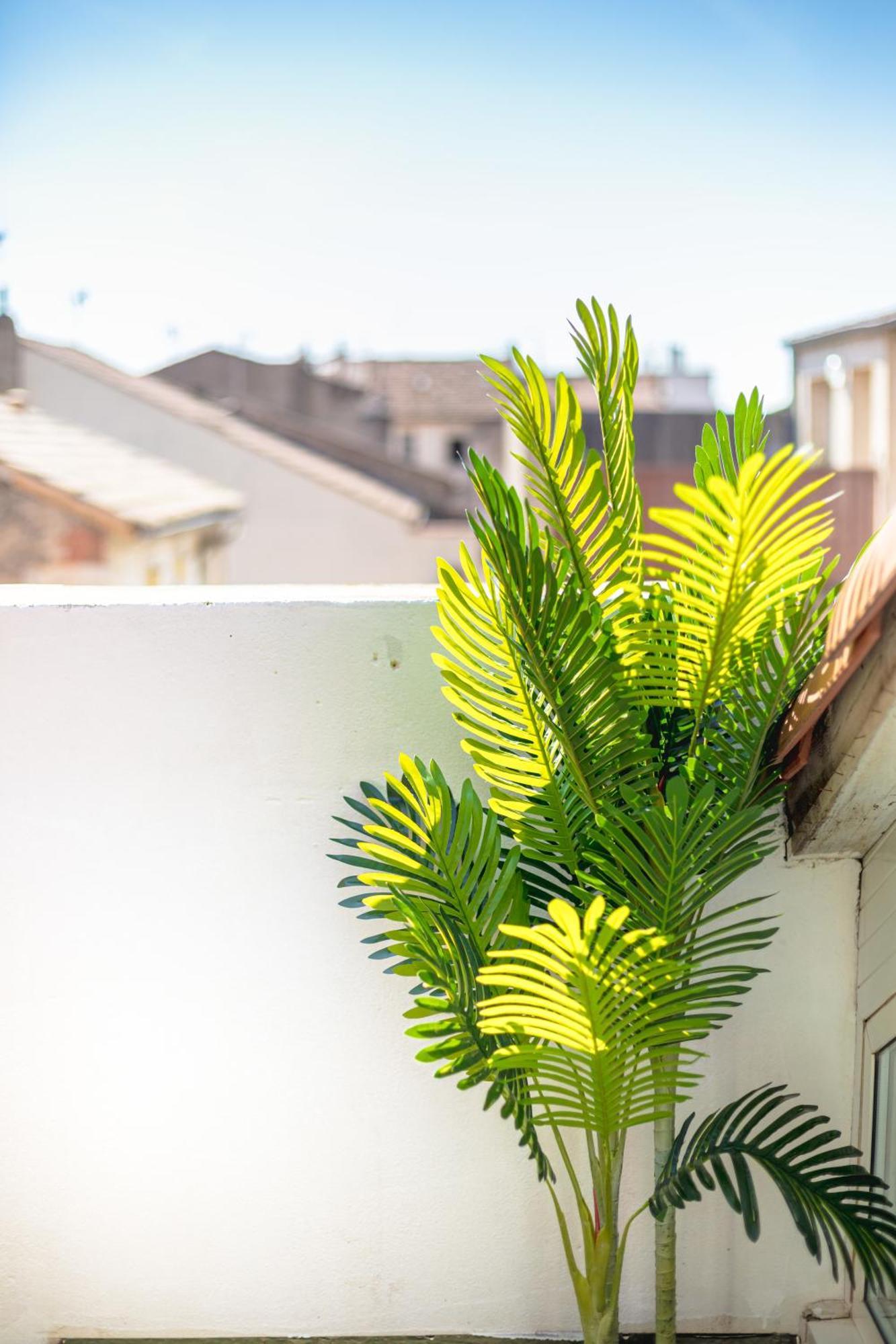 Le Albert 1Er Beziers Appartements Tout Equipes 外观 照片