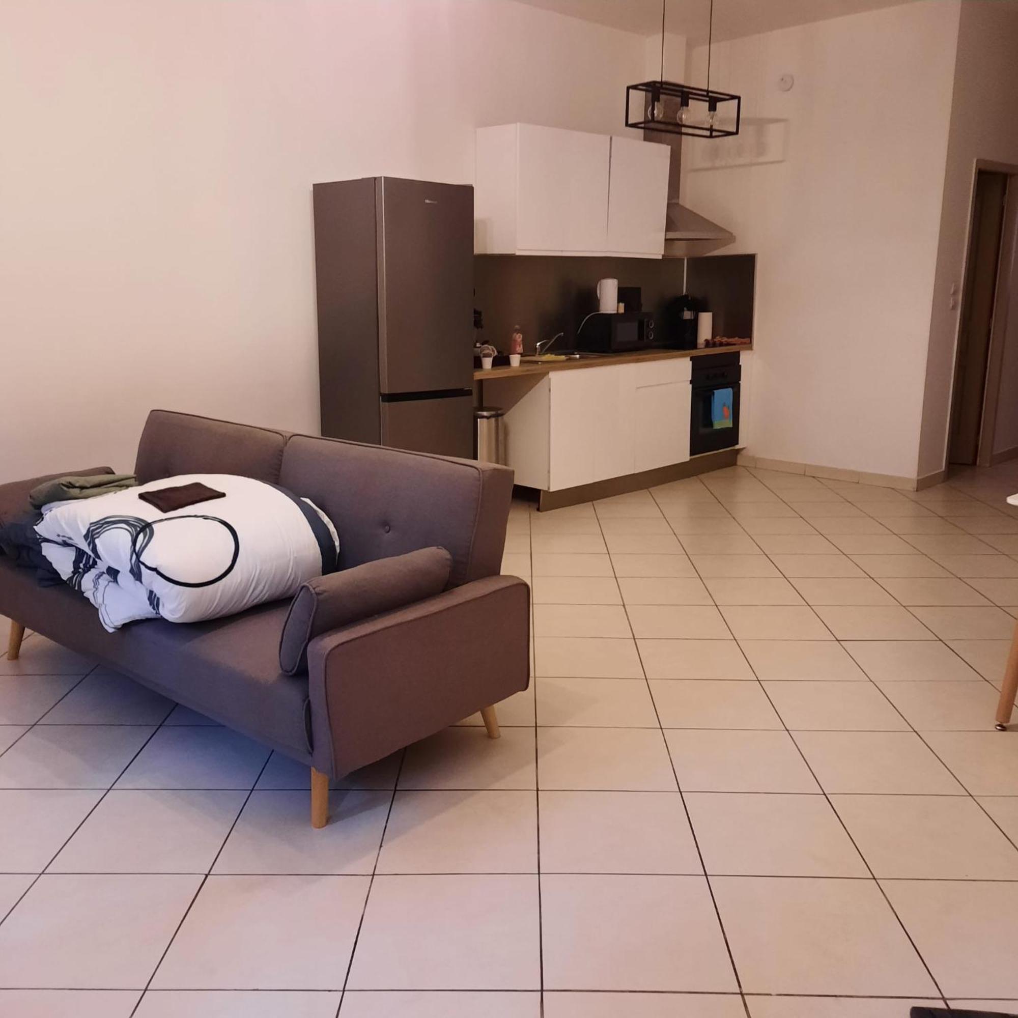 Le Albert 1Er Beziers Appartements Tout Equipes 外观 照片